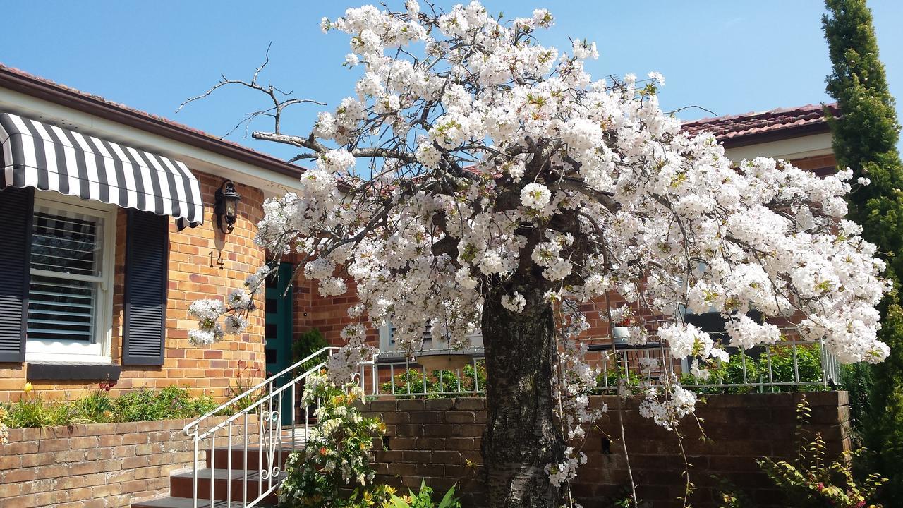 Winston Cottage At Three Sisters 카툼바 외부 사진